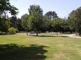 20190710_Perivoj kralja Petra Krešimira IV_sl6~1.jpg